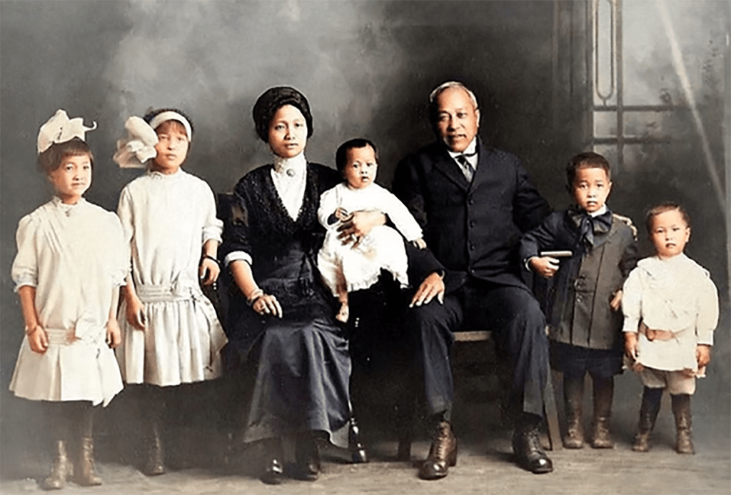 HERITAGE TALK – A WILLOW TREE BECOMES A&nbsp;FOREST